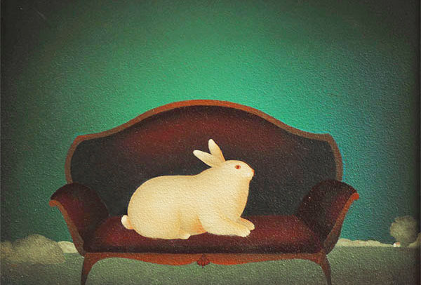Rabbit on Couch