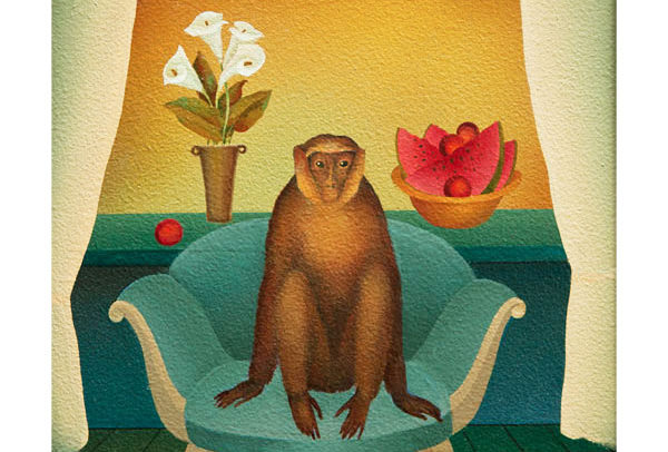 Monkey on Blue Couch